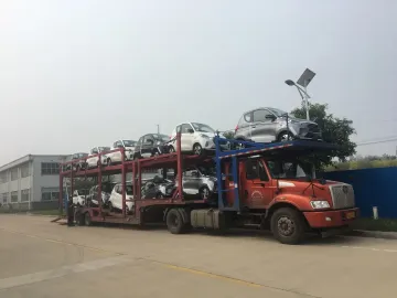 Zd Electric Car D2s EEC M1 Approved