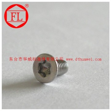 Stainless steel DIN965 Torx Screws