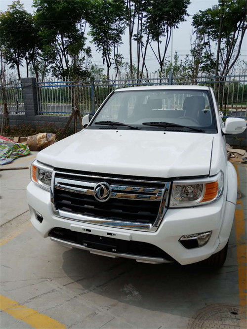 الطراز الفاخر 2WD / 4WD إصدار النخبة RHD Pickup