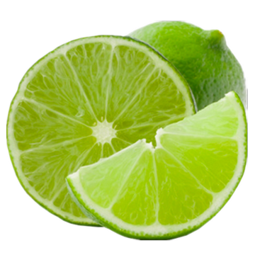 Pure natural Lime essential oil