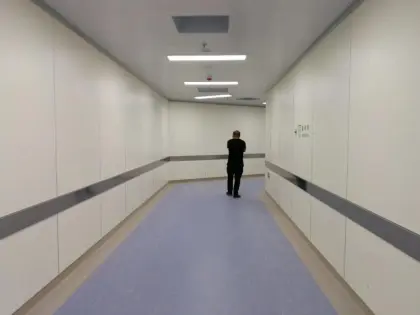 Fire retardant board and moisture proof panelling