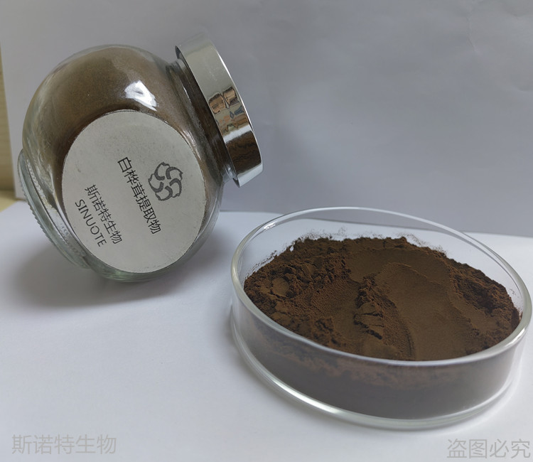 Inonotus Obliquus Extract Powder