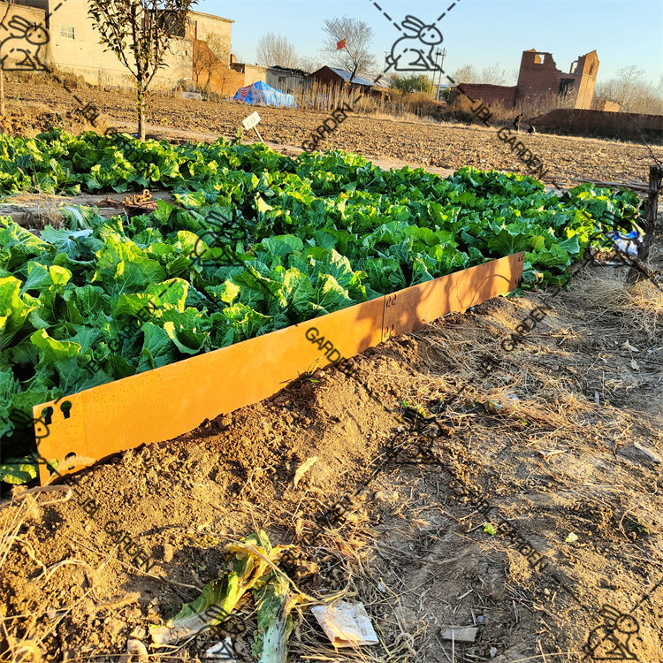 Garden Steel Landscape Edging