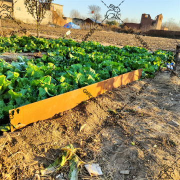 Garden à la maison pour la bordure de la pelouse