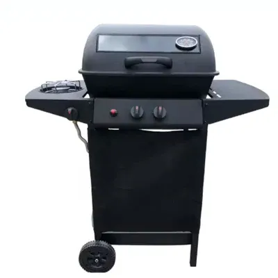 2024 New Design Family Portable BBQ Grills Visible Steel Outdoor BBQ Grills for Picnic