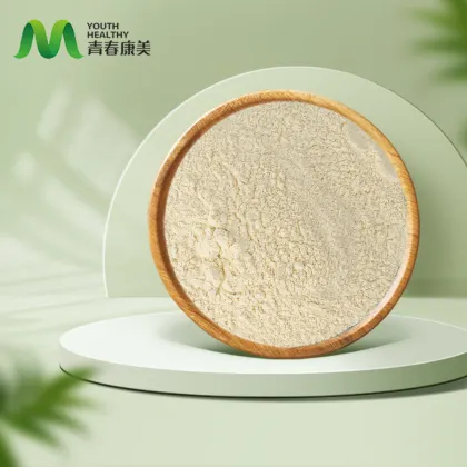 Vanilla Powder Vanilla Flavor Additive