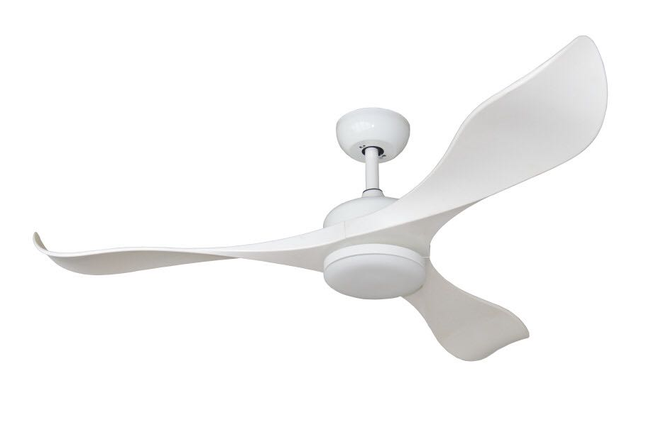 Modern 3 Blades Ceiling Fan Wy D 016