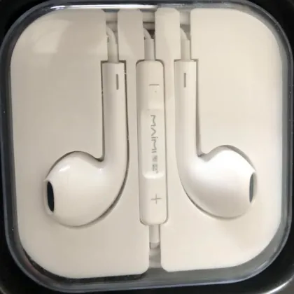 Good in Ear Headphones with Mic