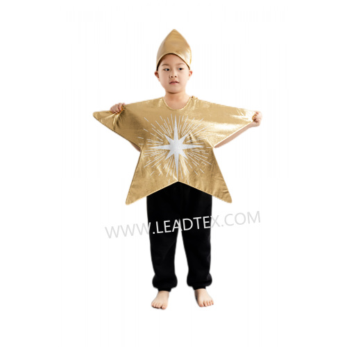 Costumes de Noël Star Tabard Unisexe Child