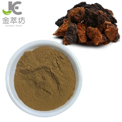 siberian chaga mushroom extract 30% Polysaccharide powder
