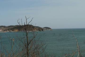 Island Villa Project Near Dalian