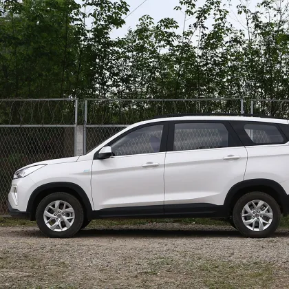 Family car Wuling Hongguang S3