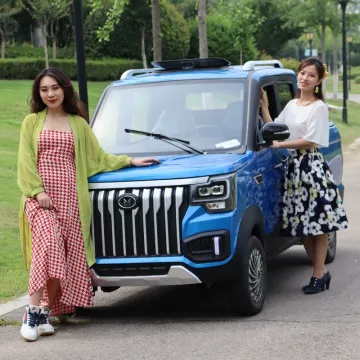 Double Row Electric Pickup Truck Made in China 2023 New Rear Drive Pickup Truck