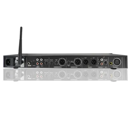 Professional DSP Effects Audio Processor for KTV, Home Karaoke, and Stage Performance