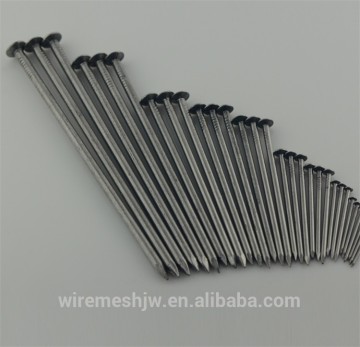 Cheap Price Common Iron wire Nails for Construction