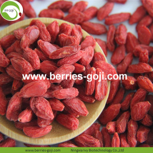 Factory Wholesale Super Food Melhora a Visão Ningxia Lycium