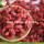 Factory Wholesale Super Food Improve Eyesight Ningxia Lycium