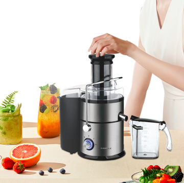 High-Efficiency 304 Blade 2.2L Electric Juice Maker & Blender