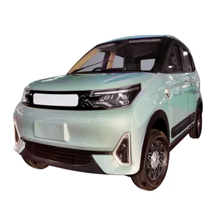 2023 MINI EV CAR Hot Sale: New Style ORA Electric Car 2024