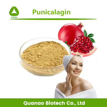 Skin Whiten Pomegranate Peel Extract Punicalagin 40% Powder