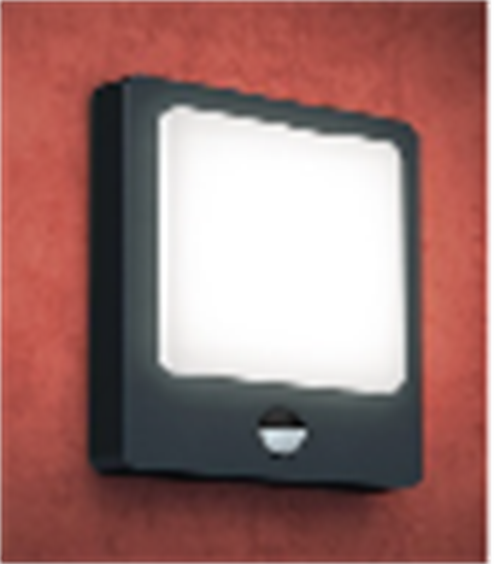 With sensor outdoor Wall Lamp