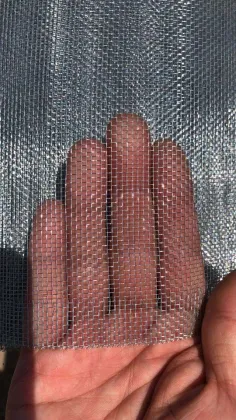 iron screen wire mesh for window