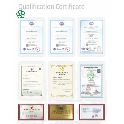 Premium Cocos Nucifera Extract for Nutraceuticals