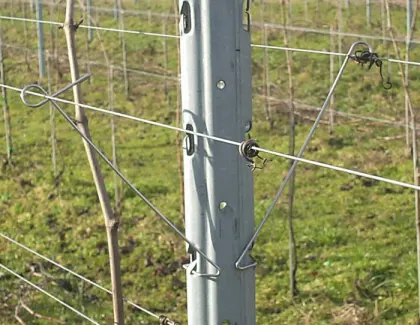 Metal line vineyard posts
