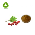 Extrato de Hawthorn Berry 50% de flavona em pó