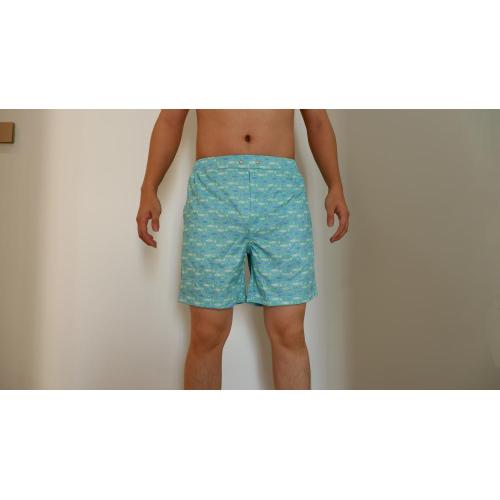 Polyester Beach Pants Small fish print men's beach shorts Factory