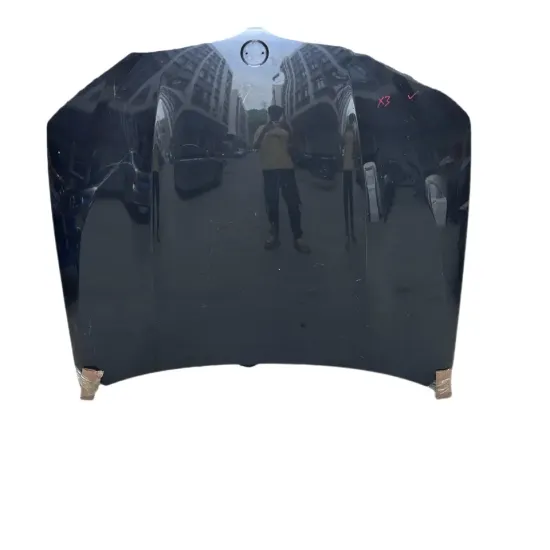 Low Cost BMW X3 G01 Engine Cover