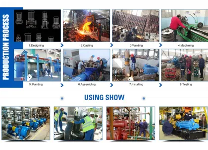 Chemical Competitive: Zibo Boshan Vacuum Pump