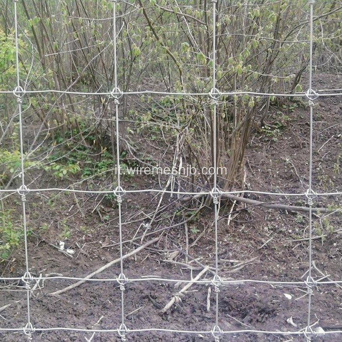 Recinto galvanizzato immerso caldo del campo del recinto del bestiame