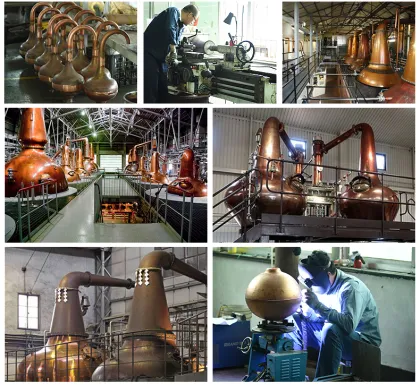 10L Whisky Distillation System: Small Whisky Still Distillation Equipment