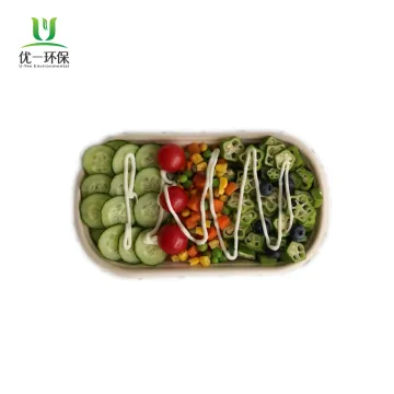 Biodegradable Disposable 1000ml Sugarcane Bagasse Container