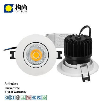 Ultra-Thin Flicker-Free 10W LED Recessed Downlight