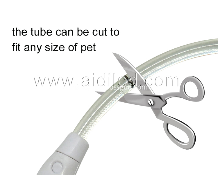 Glow Tube Dog Collar