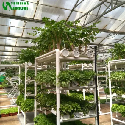 Vertical NFT PVC Pipe Commercial Hydroponics Greenhouse