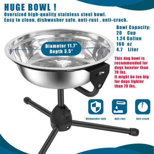 Dual Bowls for Large Dog