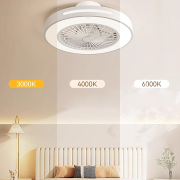 Modern Designer Luxury Smart LED Ceiling Fan Light with Remote Control