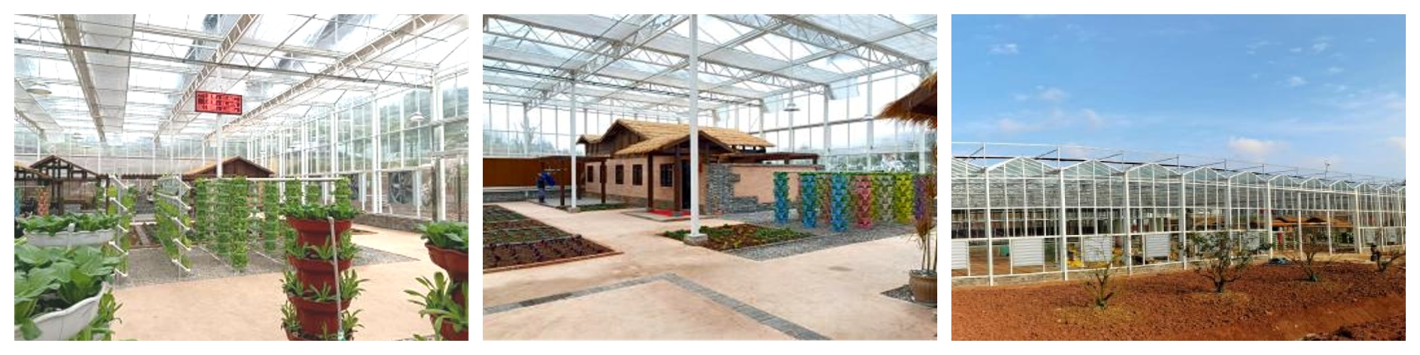 Jiangcun Smart Agriculture Park Project