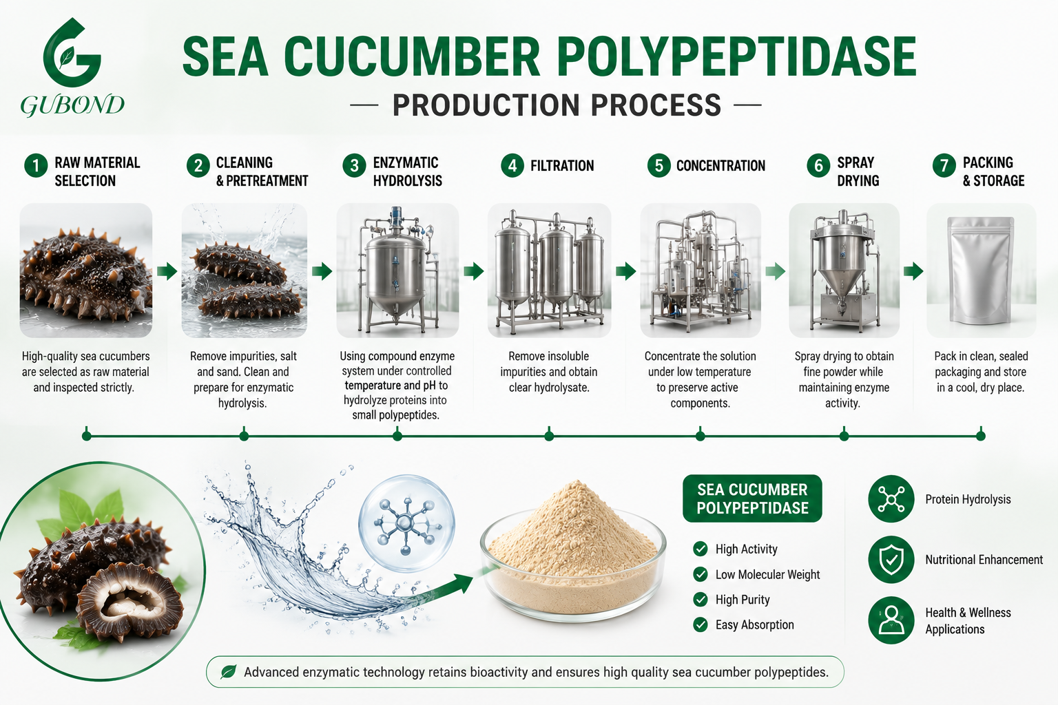 Sea Cucumber Polypeptidase (5)