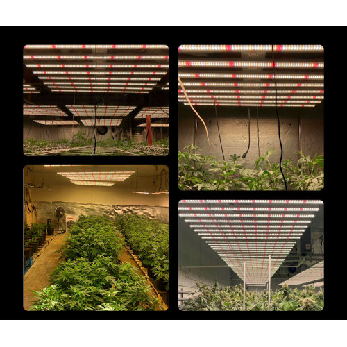 630W Led Indoor Plant Grow Light Full Spectrum