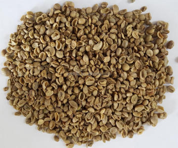 arabica type yunnan raw coffee broken
