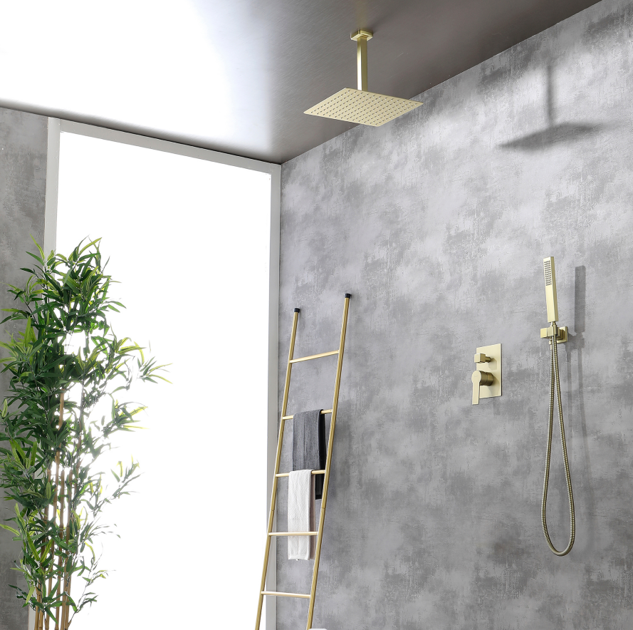 Ceiling Mounted Shower Set 1