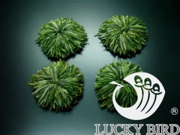 Blooming Tea Green Poney (Mu Dan)