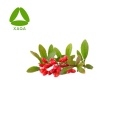 COPTIS Chinensis-Extraktberberinhydrochloridpulver