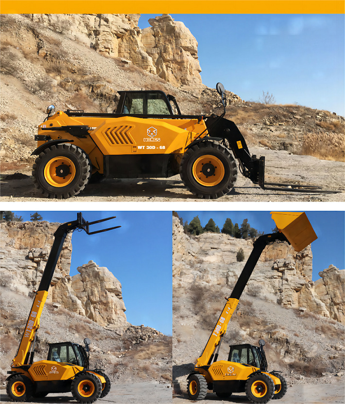 telescopic forklift(1)