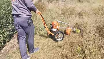 Thailand 52cc hand push brush cutter two wheel