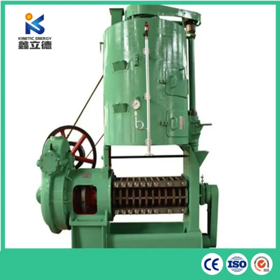 Made in China Oil Press Home Machine Groundnut Oil Processing Machine and Avocado Oil Extraction Machine